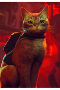 Stray | PS4 & PS5 | Garantili Dijital Oyun | CD DEĞİLDİR -