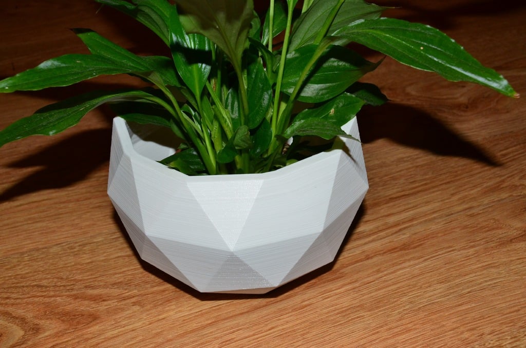 Modern & Minimalist Çiçek Saksısı / Dekoratif & Hediyelik